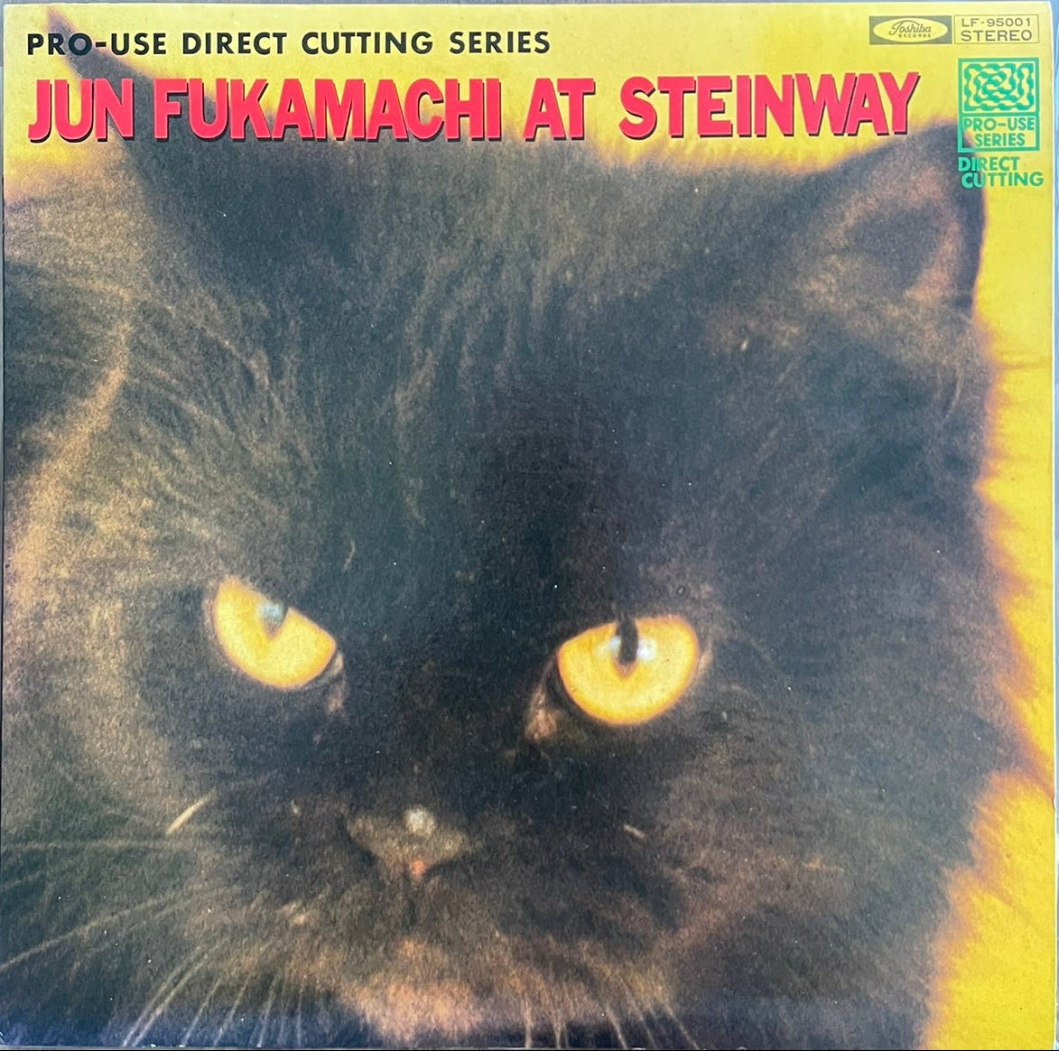 Jun Fukamachi - at steinway